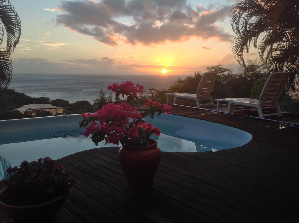 Les Hauts de la Marina Basse-Terre Extérieur photo